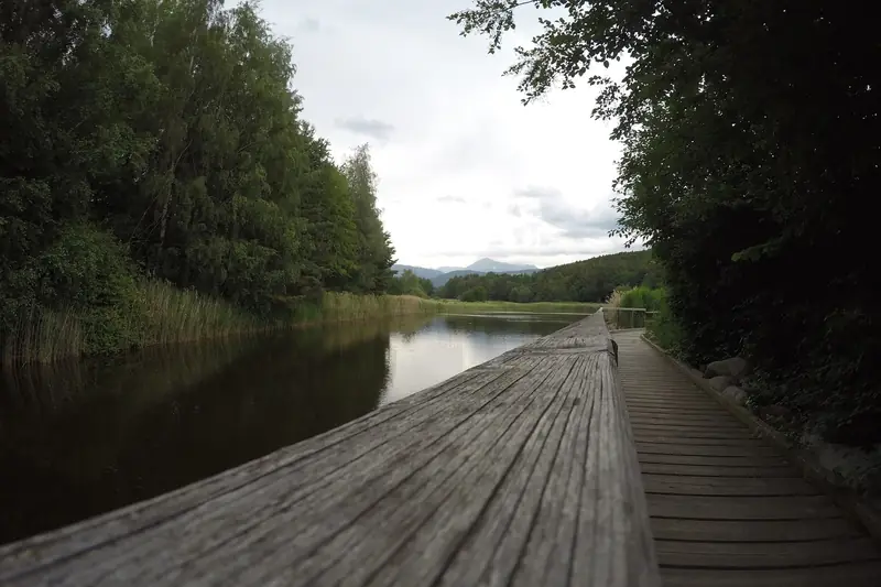 Raier Moos nature trail